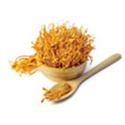 Cordyceps