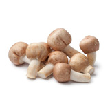 Agaricus Blazei Mushrooms